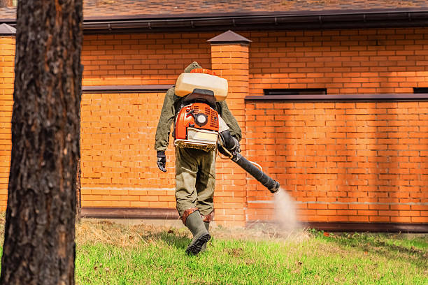 Cockroach Follow-Up and Monitoring in Hilltop